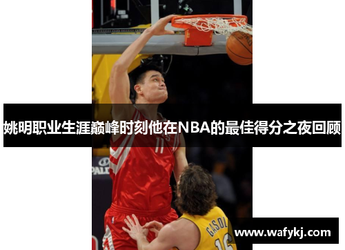 姚明职业生涯巅峰时刻他在NBA的最佳得分之夜回顾